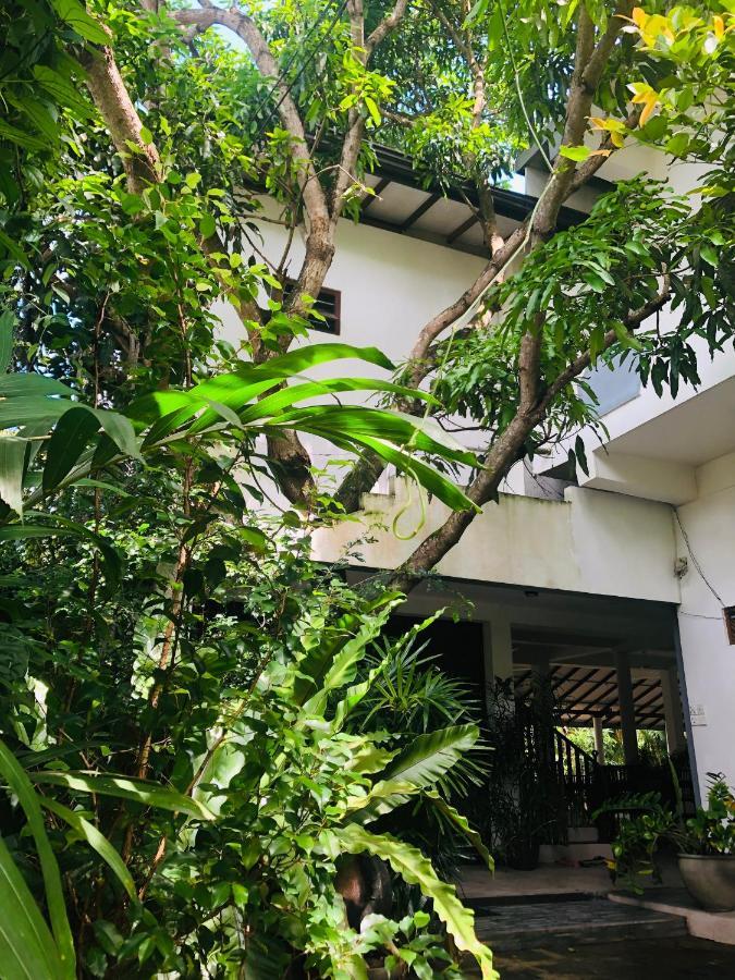Tinara River Inn, ווליגאמה מראה חיצוני תמונה