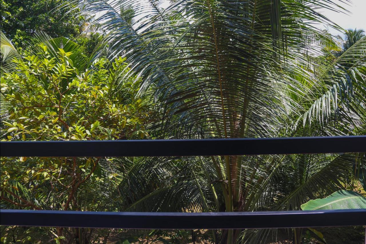 Tinara River Inn, ווליגאמה מראה חיצוני תמונה